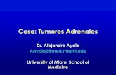 Caso: Tumores Adrenales - syllabus.aace.comsyllabus.aace.com/2017/curso/presentations/Wed/5-Tumores_Adrenales_2017miami.pdf · Anamnesis y el examen físico de las familias con NEM
