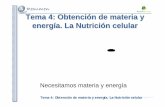 Tema 4: Obtención de materia y energía. La Nutrición ...agrega.juntadeandalucia.es/repositorio/08112010/4e/es-an_2010110813... · Una vez incorporadas las partículas la célula