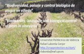 ^Biodiversidad, paisaje y control biológico de plagas en viñedo ...fundacionglobalnature.org/.../07/Biodiversity-landscape-and-biological-control.pdf · ^Biodiversidad, paisaje