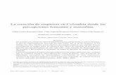 LA CREACIÓN DE EMPRESAS EN COLOMBIA DESDE LAS …revistaeconomia.puj.edu.co/html/articulos/Numero_10/HENRIQUEZ.pdf · The review of a theoretical and conceptual framework formed