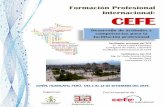 Formación Profesional Internacional: CEFE - ingeniati.com · Cartagena de Indias, Colombia Facilitador Internacional de CEFE andragogía ... Test Auto evaluación de CEPs. c. Técnicas