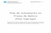 Plan de Salvamento en Praias de Galicia (Plan Sapraga) zonas de baño de Galicia das diferentes provincias (emerxencia nivel 2), recae no director xeral con competencias en materia