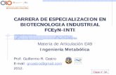 CARRERA DE ESPECIALIZACION EN BIOTECNOLOGIA …biotecnologiaindustrial.fcen.uba.ar/.../2011/02/E_4b-Clase-3a-Etanol.pdfMejoramiento del metabolismo celular. ...