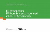 Estado Plurinacional de Bolivia · 1.3 Historia de los pueblos indígenas en Bolivia La historia de los pueblos indígenas en Bolivia, data desde épocas precolombinas, para el año