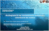 Presentación de PowerPoint - catedradelagua.uji.es · Universitat Jaume I Castelló de la Plana, abril 2017 Biodegradació de contaminants industrials i valorització de residus