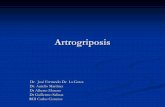 Artrogriposis - MIC · Artrogriposis La Artrogriposis Congenita Multiplees un proceso sindromatico: 1. Contractura de varias articulaciones no progresiva. 2. Fibrosis de músculos