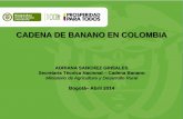 CADENA DE BANANO EN COLOMBIA · 2019-05-13 · S. Marta Colombia. ÁREA Y ... EXP.(MILLO NES) USD EXP.(MILLON ES) F.O.B. (USD/CAJA) HA BRUTAS ... Núcleos productivos priorizados