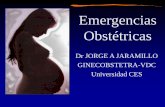 Dr JORGE A JARAMILLO GINECOBSTETRA-VDC Universidad … · 2016-10-07 · •placenta previa •desprendimiento prematuro de placenta normoinserta ... • LP: Plaquetopenia < 100.000/mm