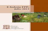Julio 2013 - Forest Peoples Programme · El FPP y algunos de sus socios de la RDC han unido ... y Kelompok Pinang Tinggi) consideran de gran ayuda el proceso de mediación de la CAO
