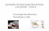 CATEDRA TECNOLOGÍA INDUSTRIAL Luis Romito - Tema 4 ...fing.uncu.edu.ar/catedras/tecnologia_industrial/archivos/2015 Tema 4.pdf · Se basa en alto consumo de ... Actualmente se investiga