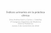 Índices urinarios en la práctica clínica Interna/PDFs Jueves... · gentamicina), cimetidina, agentes quimioterapéuticos de metales . pesados (por ejemplo, cisplatino) y drogas