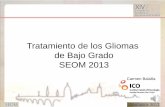 Tratamiento de los Gliomas de Bajo Grado SEOM 2013 · • Neurocitoma central • Subependimoma • Meningioma • T Plexos coroideos . TSC1 TSC2 SEGA: complejo de la esclerosis tuberosa