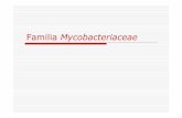 Familia Mycobacteriaceae - enfervescente.com filecaracterÍsticas acido-alcohol resistencia contenido lipÍdico pared aerobios estrictos lenta multiplicaciÓn (12-24h) inducciÓn granulomas