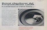 Retrat clarobscur del fotoperiodisme català - core.ac.uk · Capçalera. Febrer/Març1997 6 TEMADELMES Nofagaires anys, elfotògrafPatrichZachmann, membrede l'agència Magnum,vavisitar