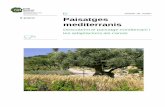 ESPO Paisatges mediterranis - Edunatedunat.museuciencies.cat/wp-content/uploads/...Paisatges-mediterranis.pdf · Índex 1. Introducció 2 El Museu de Ciències Naturals de Barcelona