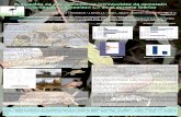 Evaluación de dos poblaciones introducidas de camaleón · Evaluación de dos poblaciones introducidas de camaleón (Chamaeleo chamaeleon L.) en el sureste ibérico RESUMEN El camaleón