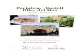 Fortalesa - Castell Oller del Mas - esdeveniments.cat · Fortalesa - Castell Oller del Mas Manresa - Montserrat !!!!! Dossier visites escolars 2014-15 Educació infantil, P3, P4 i