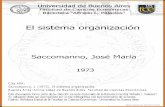 El sistema organización - UBAbibliotecadigital.econ.uba.ar/download/tesis/1501-1034_SaccomannoJM.pdf · gramadas como procesos simbólicos metalinguísticos con respecto a las decisiones
