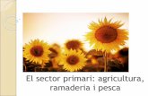 El sector primari: agricultura, ramaderia i pesca o - Comprèn les activitats relacionades amb l’obtenció i producció d’aliments: agricultura, ramaderia, pesca, explotació forestal.