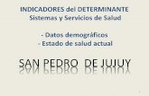 SAN PEDRO DE JUJUY - Ministerio de Saludsalud.jujuy.gob.ar/wp-content/uploads/sites/14/2017/05/Set-1-SAN-PEDRO.pdf · Fichero cronológico Si /No Fichas Familiares Si /No Registros