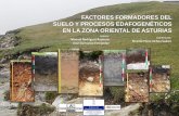 FACTORES FORMADORES DEL SUELO Y PROCESOS …sitpa.cartografia.asturias.es/Hipervinculos/Catalogo_Suelos/suelos/edafogaleria/... · saturación en bases del complejo de cambio (V%)