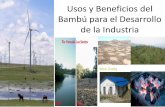 Usos y Beneficios del Bambú para el Desarrollo de la Industria · Espinosa Pérez, Diana Carolina “La Cadena de la Guadua en Colombia”. Ministerio de Agricultura y Desarrollo