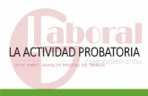 LA ACTIVIDAD PROBATORIA - s3.amazonaws.com+DERECHO+LABORAL+Y... · Artículo 21.- Oportunidad Los medios probatorios deben ser ofrecidos por las partes únicamente en la demanda y