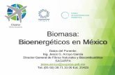Biomasa: Bioenergéticos en México · Biomasa Abastecimiento energético 80% . energía fósil. 13% . energía nuclear. 6% . energía renovable. Este 93% no renovable conlleva importantes