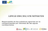 LIFE10 ENV/ES/478 NITRATOS - fertinnowa.com · Excedentes de Nitrógeno • Tendencia a la baja 2000-2013 en los excedentes con oscilaciones anuales y una disminución importante