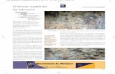 Pinturas rupestres monumento de moixent de Moixent CV/PDF monumenta 2009/z moixent.pdf · arte rupestre de la provincia de Valencia. En término municipal de Moixent es po-sible localizar