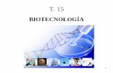 PowerPoint Presentation - iesvinalopo.comiesvinalopo.com/departamentos/biologia/wp-content/uploads/2017/03/T.15... · Contiene secuencias de ADN necesarias para la transcripción