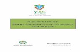 PLAN ESTRATÉGICO RESERVA DE BIOSFERA ... - …proyungas.org.ar/wp-content/uploads/2014/12/RBYungas3.pdf · Reserva de Biosfera de las Yungas Plan Estratégico 2011-2020 3 AUTORIDADES
