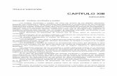 CAPÍTULO XIII - hormort.com fileEn el caso del hormigón pretensado las cimbras, encofrados y moldes deberán resistir adecuadamente la redistribución de cargas que se origina durante