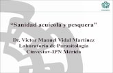Dr. Victor Manuel Vidal Martínez Laboratorio de ...congresos.fmvz.unam.mx/acua/pdf/2015/memorias/Sala 2/26 nov/Sanidad y... · “Sanidad acuícola y pesquera” Dr. Victor Manuel