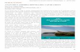 erpetologia, 11: abril de 2016 PUBLICACIONS ATLES DELS ... fileHerpetofull de la Societat Catalana d’Herpetologia, 11: abril de 2016 44 com fonamentades recomanacions sobre la gestió