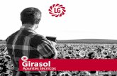 Apuntes Técnicos Girasol - lgseeds.es · girasol aproveche el aporte de fertilizante del cultivo precedente, ya que con rendimientos inferiores a 1.000 kg/Ha no hay una respuesta
