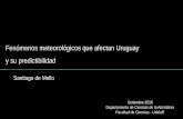 Fenómenos meteorológicos que afectan Uruguaymeteo.fisica.edu.uy/.../Teoricos2018/FenomenosEnUruguay.pdf · - Temperaturas extremas en Uruguay - Regionalización de heladas meteorológicas