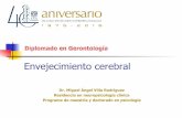 Dr. Miguel Ángel Villa Rodríguez Residencia en ... · ¿Qué es el envejecimiento cerebral? n “El envejecimiento es una serie de cambios morfológicos, fisiológicos y metabólicos