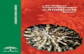 Libro Rojo de los Invertebrados de Andalucíadigital.csic.es/bitstream/10261/42815/1/libro rojo.pdf · Asesoramiento científico para la coordinación con el Libro Rojo de los invertebrados