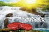 Ganoderma lucidum, - ganoexcel-mexico.com · Fundador de Gano Excel Leow Soon Seng Prólogo i. Este libro, con los consejos médicos y las reivindicaciones terapéuticas establecidas,