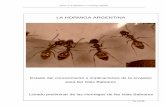 Hormiga argentina def - Bio-Nica.info Hormiga argentina.pdf · al, 2003), en una finca urbana hasta 40 especies en 22 géneros (Espadaler & López- Soria 1991), mientras que en otras