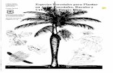 Especies orestales para Plantar Para localizar un término ...edicionesdigitales.info/biblioteca/especiesforestales.pdf · Especies Forestales para Plantar en Areas Forestales, Rurales