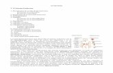 T 10 Sistema Endocrino - anatomia1bach.weebly.comanatomia1bach.weebly.com/uploads/8/8/5/7/8857465/endocrino_tema_10.pdf · estructura alargada, comunica el cuerpo de la hipófisis