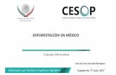 DEFORESTACIÓN EN MÉXICO - diputados.gob.mx · México, algunos datos, Bosques y tenencia de la tierra, Incendios forestales, Bosques y cambio climático y Referencias internacionales,