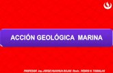 ACCIÓN GEOLÓGICA MARINA - MineriaAlDia · todo, a la reciente elevación del nivel del mar; por los hielos se fundieron durante la última glaciación . Se caracteriza por tener
