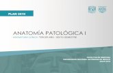ANATOMÍA PATOLÓGICA I - seciss.facmed.unam.mxseciss.facmed.unam.mx/wp-content/uploads/2018/10/6-Anatomia-Patologia-I.pdf · anatomÍa patolÓgica i facultad de medicina universidad