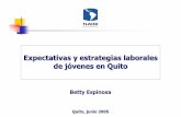 Expectativas y estrategias laborales de jóvenes en Quito · expectativas frente al mercado laboral • Los grupos de nivel medio y alto plantean como principales anhelos: el realizar