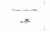 InformÆtica Programación Pedro Reinalaurel.datsi.fi.upm.es/~ssoo/IG/download/CursoPedroReina/15_programacion.pdf · Un buen programador debe conocer tanto los lenguajes como las