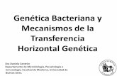 Genética Bacteriana y Mecanismos de la Transferencia ... Clase 1... · Genética Bacteriana y Mecanismos de la Transferencia Horizontal Genética Dra Daniela Centrón Departamento
