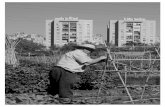 Desagrarización cultural, agricultura urbana y · Patrimonio cultural en la nueva ruralidad andaluza • PH CUADERNOS • 051 Desagrarización cultural, agricultura urbana y resistencias